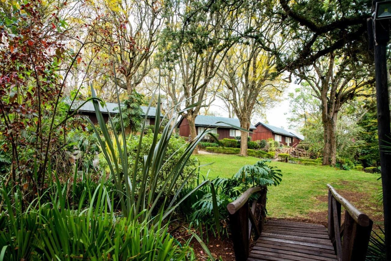 Naro Moru River Lodge Εξωτερικό φωτογραφία