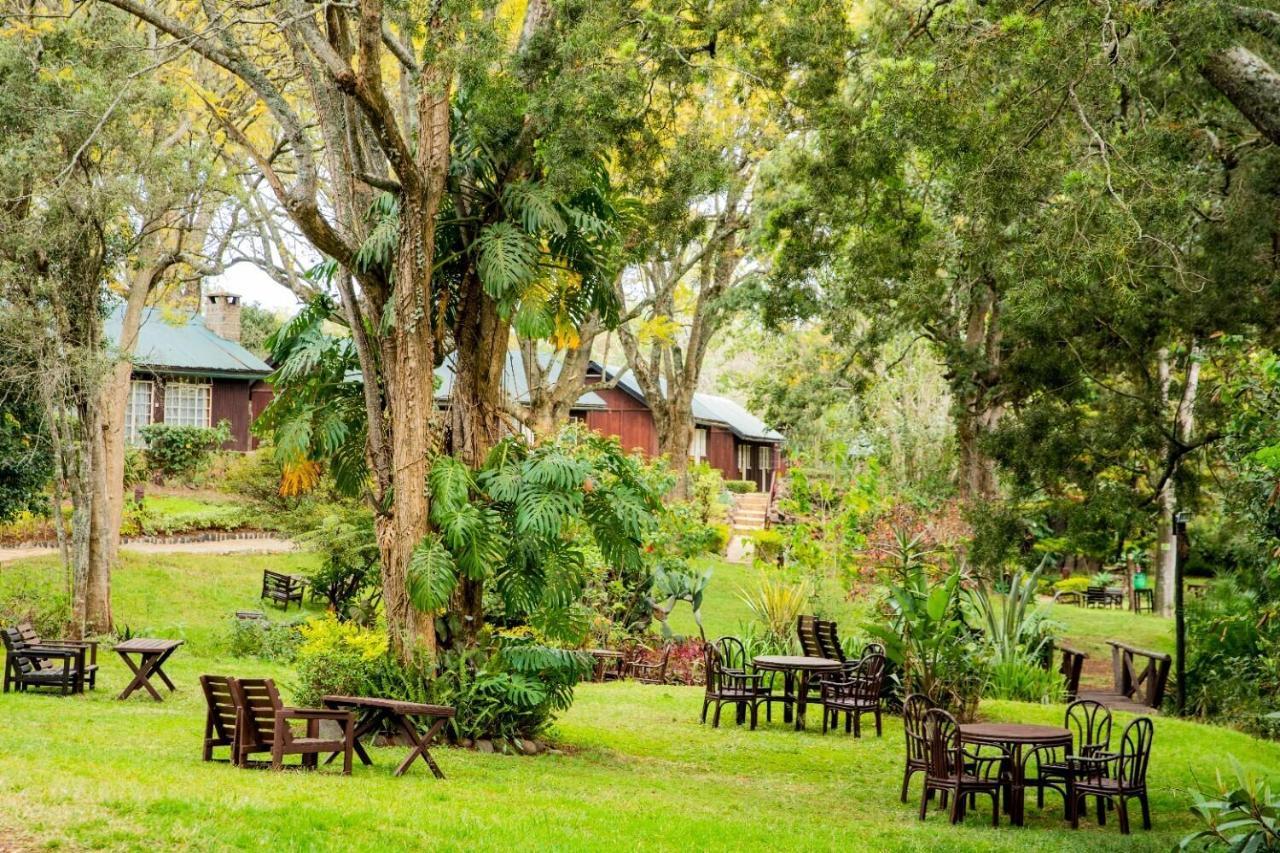 Naro Moru River Lodge Εξωτερικό φωτογραφία