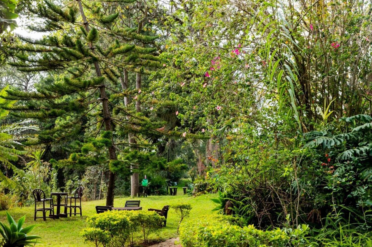 Naro Moru River Lodge Εξωτερικό φωτογραφία
